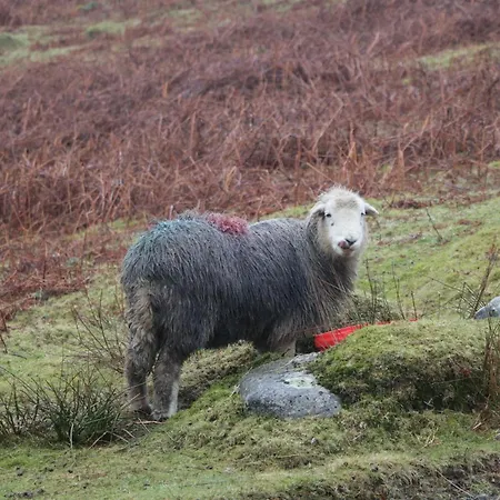 펜션 The Old Rookery